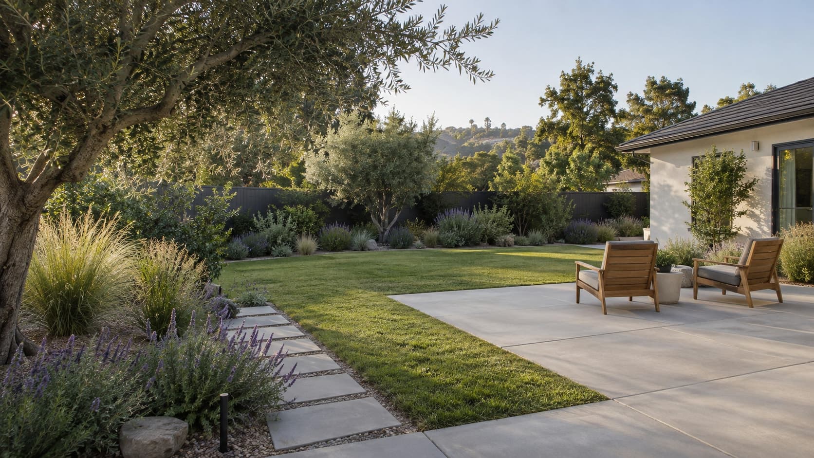Illustrated landscape design with a concrete patio, lawn, olive trees, and layered planting