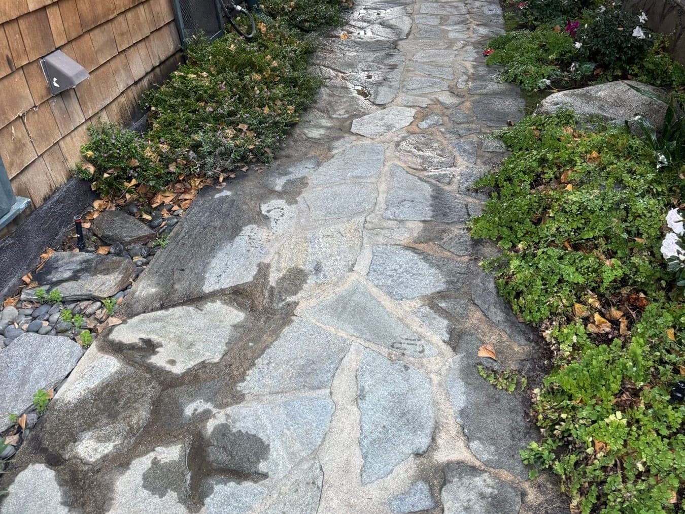 Walkways & Steps