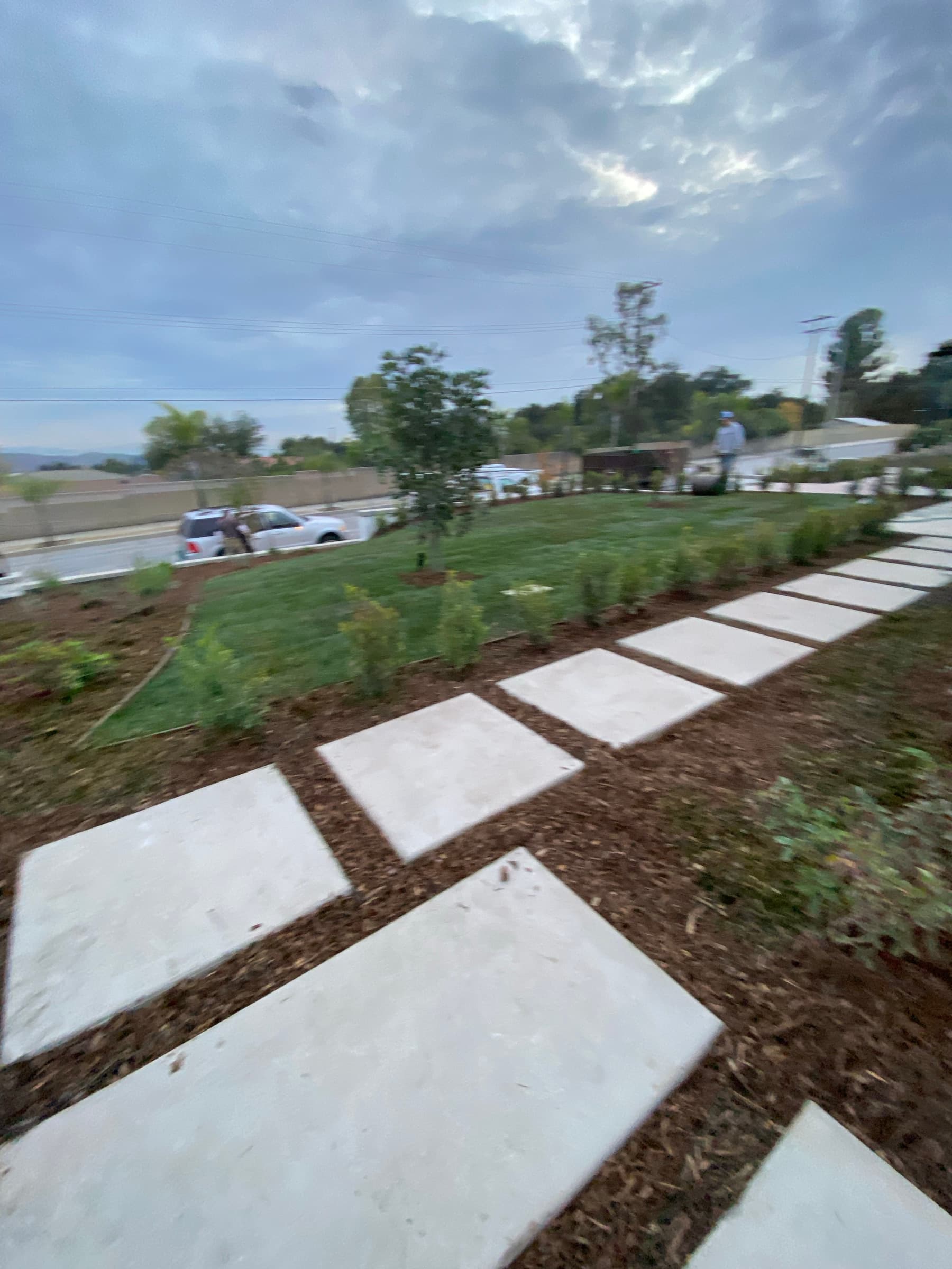 Sod & Natural Lawns