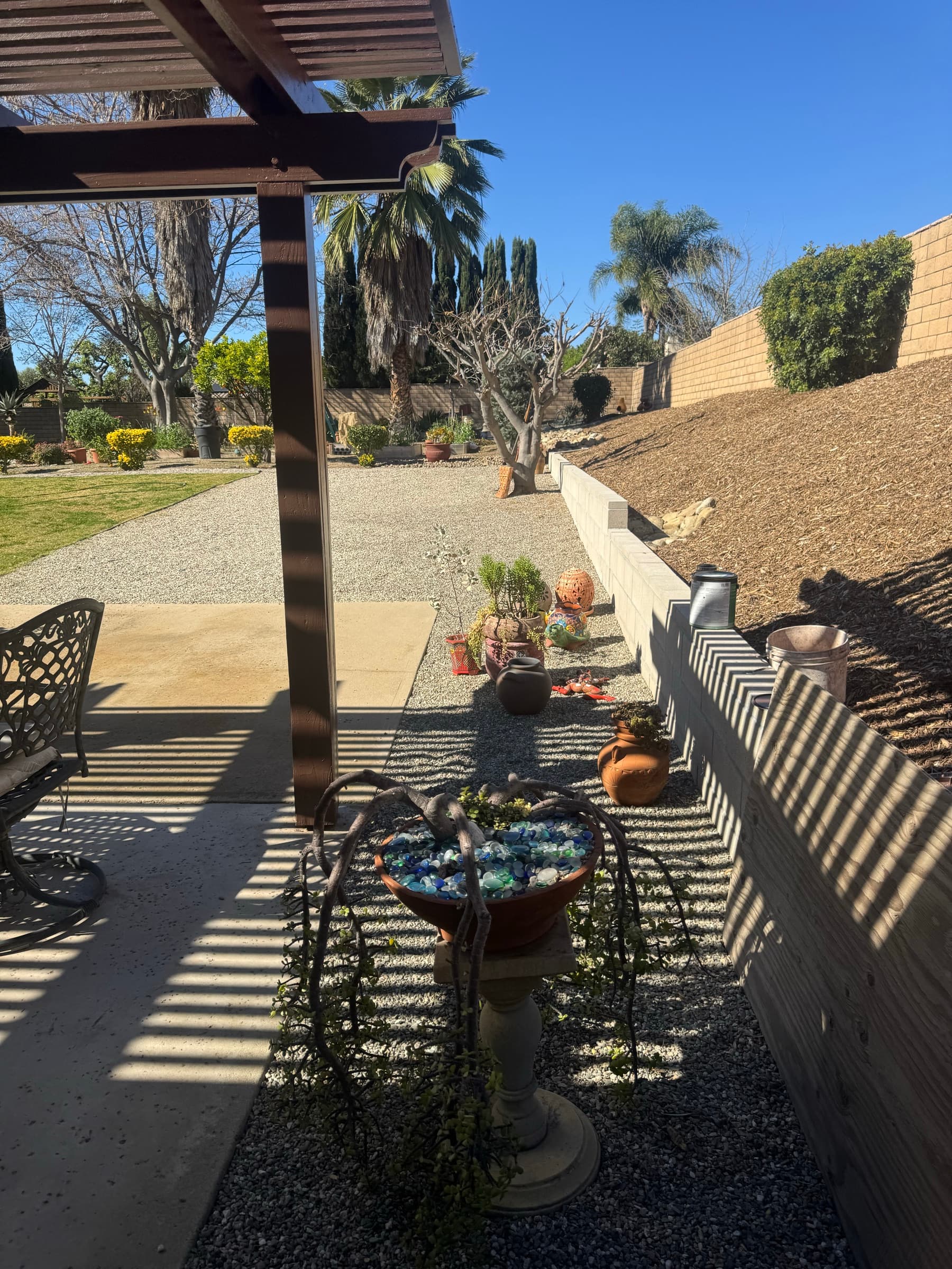Plants & Trees