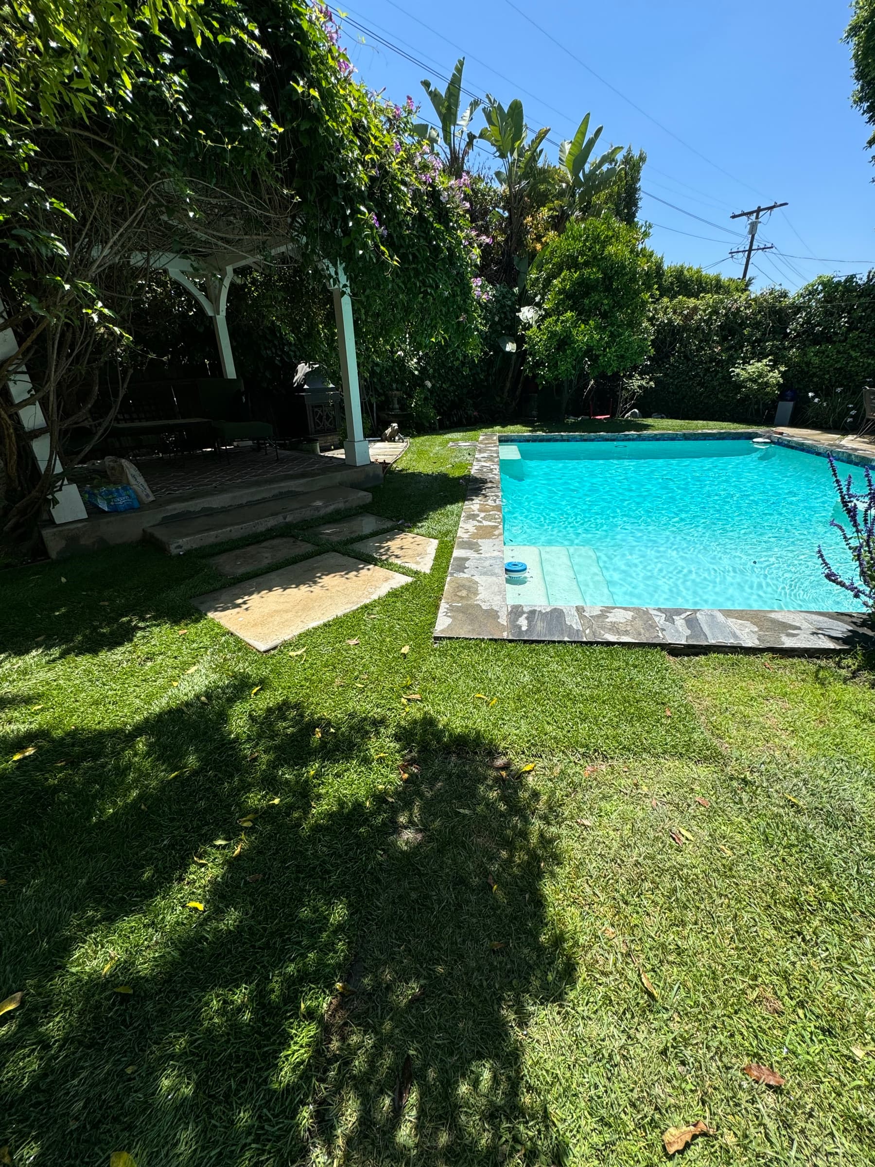 Sod & Natural Lawns